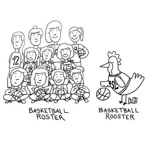 In this comparison cartoon, we see a basketball roster- a team of players ready to compete in their sport - next to a basketball rooster, which is, of course, a rooster who plays basketball. 