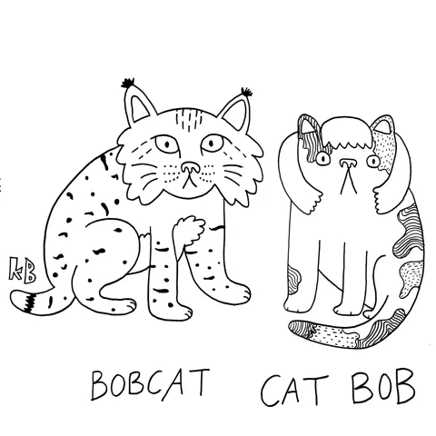 A bobcat, next to a cat with a bob hairdo. 