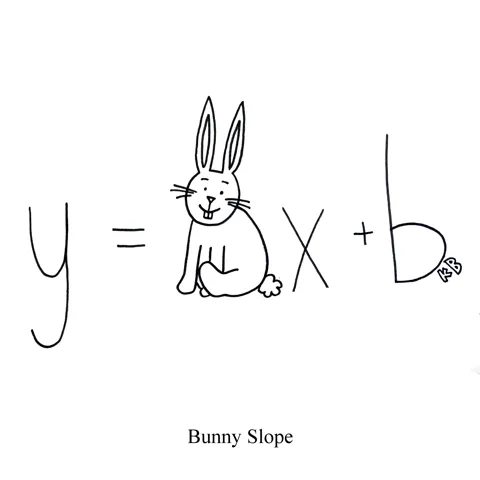 In this pun on the ski term bunny slope, we see the mathematical slope-intercept formula, except the m slope variable is replaced by a fuzzy bunny. 