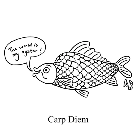 The most seize-the-day fish (the majestic carp) says, "The world is my oyster!" Forget carpe diem, it's all about carp diem. 