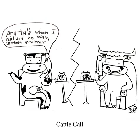 In this pun on cattle call, we see two cows on the phone. 