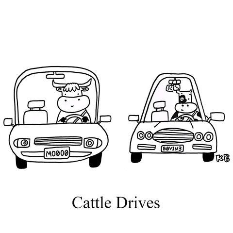 In this pun on cattle drives, we see cow driving cars!