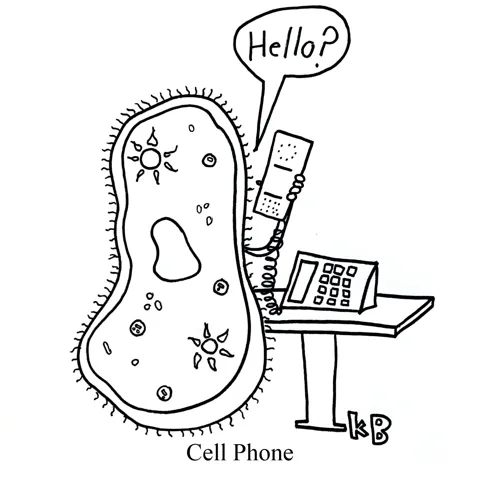 In this pun on cell phone, we see a biological cell making a phone call on a land line telephone. 