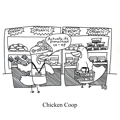 In this pun on chicken coop, we see a chicken shopping in a grocery store. The chicken employee tells him, "It's actually pronounced co-op." 