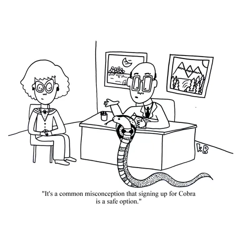 In this pun on the Cobra health insurance you get after you leave a job, we see an HR rep telling a former employee, "It's a common misconception that signing up for Cobra is a safe option," because Cobra is, in fact, a poisonous snake. 