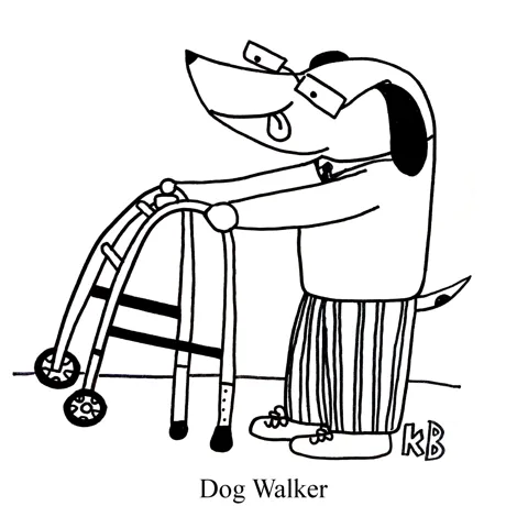 In this pun on dog walker, we see a dog walking with the assistance of a walker mobility device. 