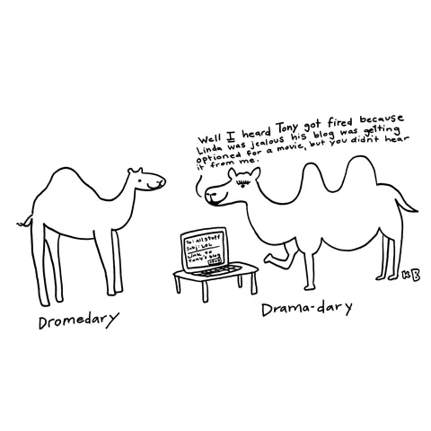 In this pun on the word dromedary, we see a regular one-humped camel next to a drama-dary, which is obviously a camel that stirs up drama.