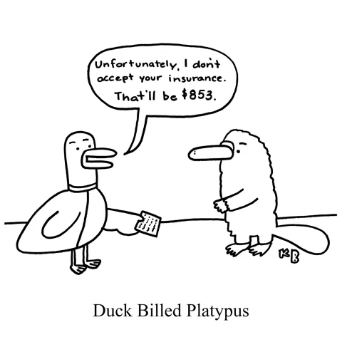 In this pun on duck-billed platypus, we see a duck billing a platypus. The duck says, "Unfortunately, I do not accept your insurance. That'll be $853."