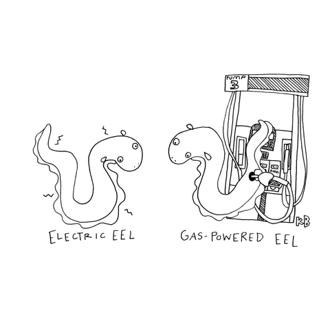 In this comparison cartoon, we see an electric eel next to a gas-powered eel (an eel being filled up with gasoline from a pumping station) 