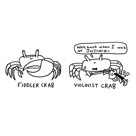 In this comparison cartoon, we see a fiddler crab (those crabs with one big claw) next to a violinist crab - a classy bow-tie-wearing crab holding a violin saying, "Well, when I was at Julliard..." 