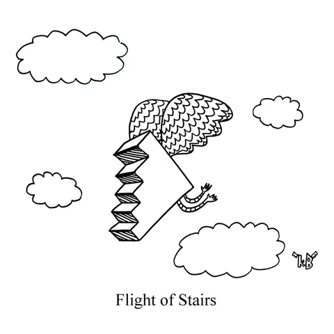 Some stairs fly through the air in this pun on flight of stairs. 