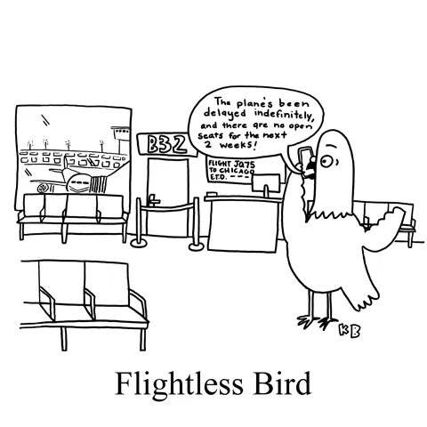 In this pun on flightless birds, a pigeon stands in an airport terminal. He is on the phone telling someone and tell them his flight was canceled and the next available seat on a plane isn't for 2 weeks.
