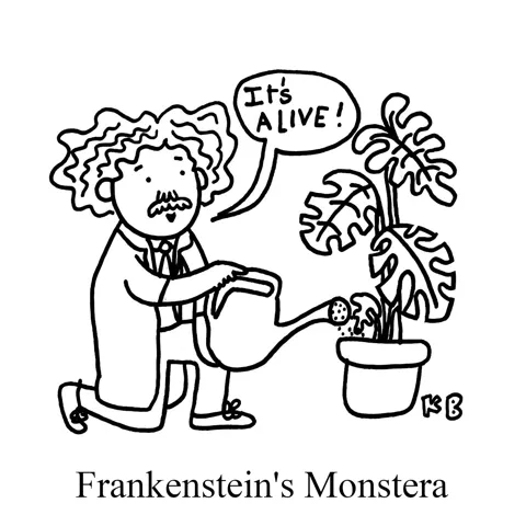 In this pun on Frankenstein's monster, we see Frankenstein's monstera, aka the wild houseplant he has managed to keep alive.