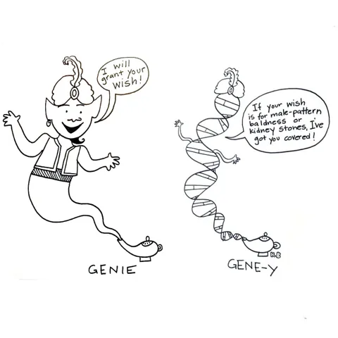 In this comparison cartoon, we see a genie offering to grant any wish, next to a gene-y (which is just a strand of magical DNA) which says, "If your wish is for male-pattern baldness or kidney stones, I've got you covered!" 