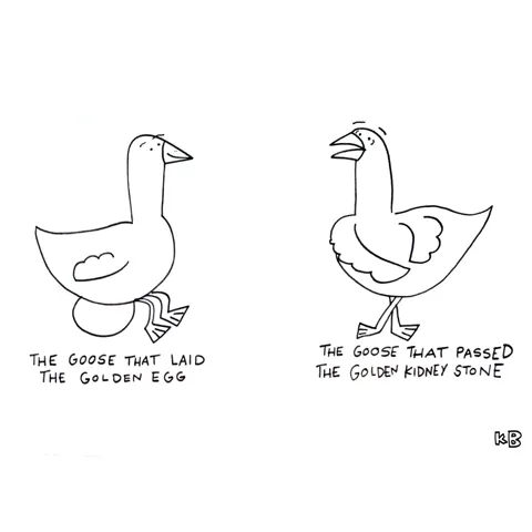 In this comparison cartoon, we see the goose that laid the golden egg from Jack and the Beanstalk looking very content, next to the goose that passed the golden kidney stone, who looks quite disturbed. 