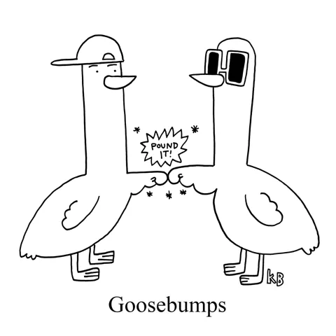 In this pun on goosebumps (the thrilling phenomenon when your skin raises up), we see goose bumps- two geese giving each other a fist pump. Much less scary (or more, depending on if you are afraid of geese or not)