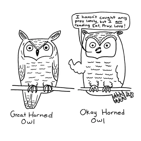 In this play on "Great Horned Owl," we see a great horned owl next to just-an-okay horned owl, who has not caught any prey but IS ready "Eat Pray Love."