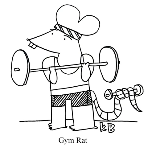 In this pun on gym rat, we see a rat at the gym lifting weights. 