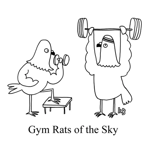In this pun on the idea that pigeons are the rats of the sky, we see the gym rats of the sky - two pigeons getting swole using fitness equipment. 