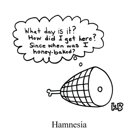 In this pun on amnesia, we see hamnesia-  a hunk of ham with a complete lack of memory, who is thinking, "What day is it? How did I get here? Since when was I honey-baked?" 
