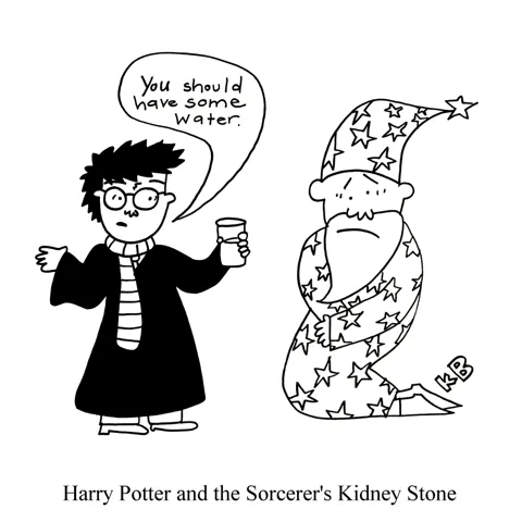 In this pun on Harry Potter and the Sorcerer's Stone, we see Harry Potter giving a glass of water to a sorcerer, who is clearly suffering from a kidney stone. 