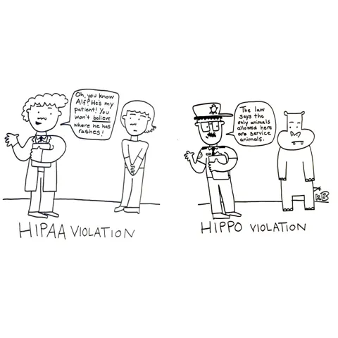 In this comparison cartoon, we see a doctor revealing a patient's personal health information - a clear HIPAA violation - next to an officer giving a hippo a citation for not being a service animal - a clear Hippo violation. 