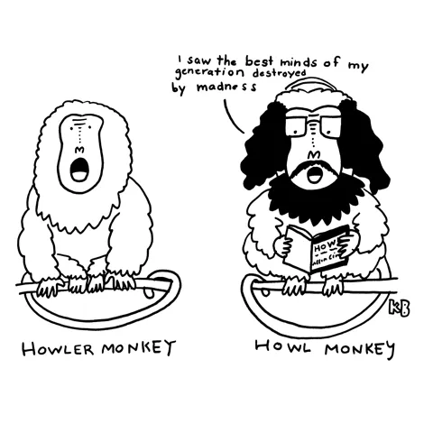 In this comparison cartoon, we see a Howler Monkey next to a Howl Monkey (which is obviously a monkey with Allen Ginsburg's hair reading a copy of famous beat poem Howl). I would not want to be near either of these animals.