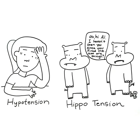 In this comparison cartoon, we see hypotension, low blood pressure that could cause dizziness, next to hippo tension- two hippos awkwardly running into each other months after one fired the other. 