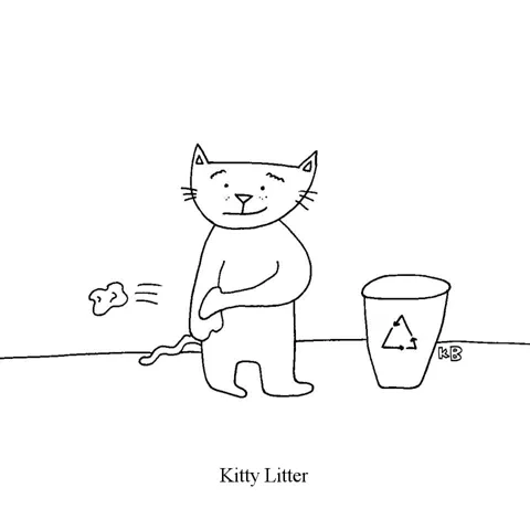In this pun on kitty litter, we see a jerky cat throwing some trash on the ground. 