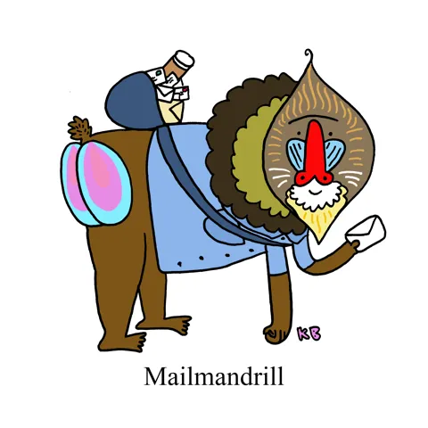 In this mashup pun on mailman and mandrill (the baboon with the greatest colorful bum), we see a mailmandrill - a mandrill who of course is employed by the postal service as a mailman.