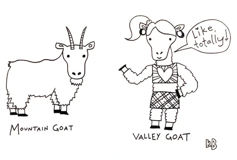 In this comparison cartoon, we see a mountain goat next to a valley goat (which is a goat that dresses and talks like a valley girl, doy!) 