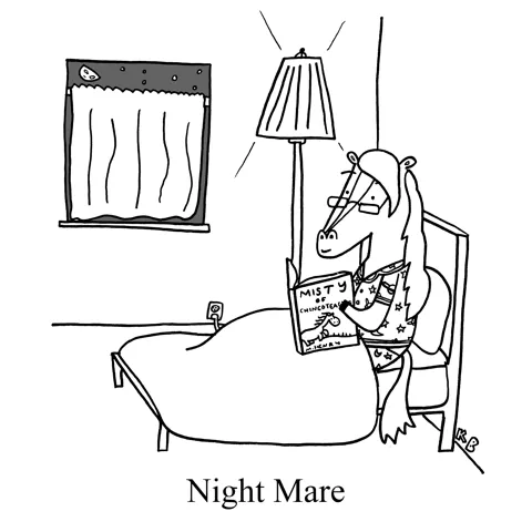 In this pun on the bad dreams nightmares, we see the Night Mare, a horse cozily celebrating nighttime by snuggling up in bed with a classic book, Misty of Chincoteague.