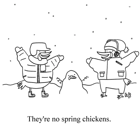 Two chickens play in the snow in a winter wonderland next to their chicken snowman. They are, indeed, no spring chickens. 