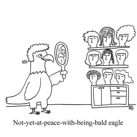 In this pun on bald eagle, we see an eagle trying on wigs at a wig shop.