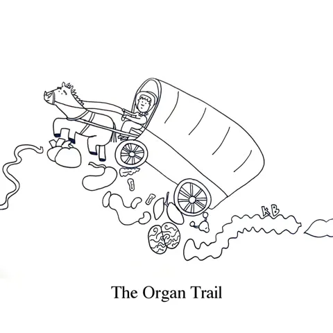 In this pun on classic video game and historic Oregon Trail, we see a woman in a covered wagon traveling the organ trail, which is just a gross trail of organs. 