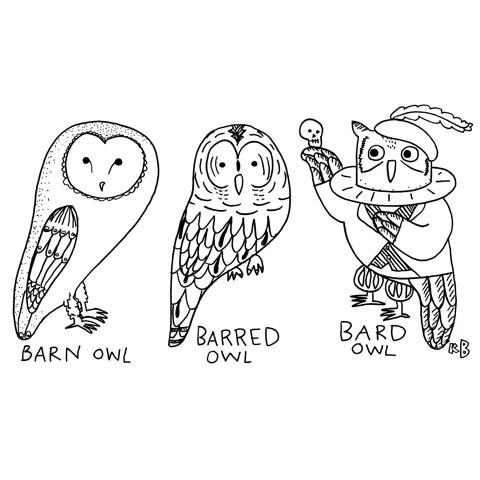 In this pun on owls that have similar names, we see a barn owl, a barred owl, and a bard owl (an owl that looks like a Shakespearean era poet) 