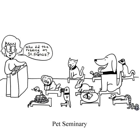 In this pun on Stephen Kind's book Pet Semetary,  we see the pet seminary, which is, as you could guess, a seminary for pets. 