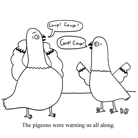 Frightened pigeons yell "Coup! Coup!" 