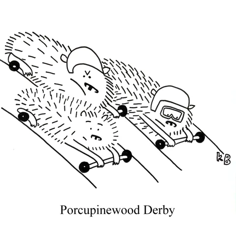 In this pun on the Boy Scout's beloved event Pinewood Derby, we see porcupines, on wheels, racing downhill. 