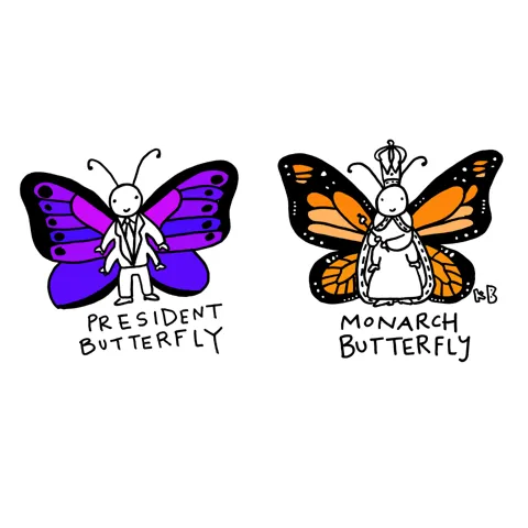 A purple butterfly in a suit, labeled "President Butterfly" stands next to an orange butterfly with a crown and queen ensemble, labeled "Monarch Butterfly." 