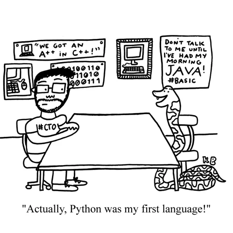 A software engineer in a CTO shirt is interviewing a snake, presumably about coding languages. The snake is saying, "Actually, Python was my first language!"