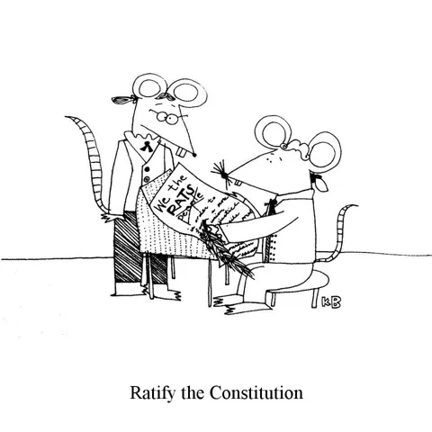 In this pun on the phrase ratify the constitution, we see some rats making changes to the American constitution to make it more rat-centric. 