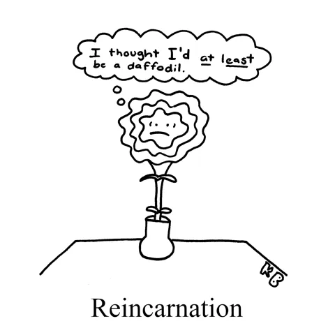 In this pun on reincarnation, we see someone whose reincarnation played out as them being... a carnation. The carnation thinks, "I thought I'd AT LEAST be a daffodil."