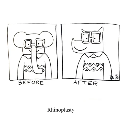 In this pun on the nose job procedure - the rhinoplasty, we see a before and after picture: before, the patient is an elephant. After, he is a rhino. 