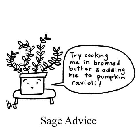 In this pun on the phrase sage advice, we see a plant of the herb sage giving us advice: Try cooking me in browned butter and adding me to pumpkin ravioli!