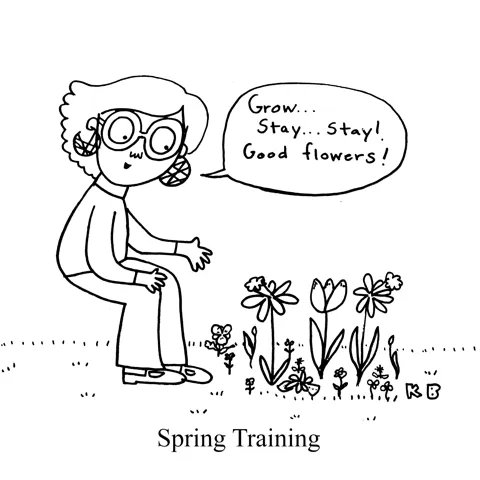 In this pun on the baseball training season, we see what I wish spring training was: a person training the spring flowers (daffodils, tulips, crocuses) to grow and stay out!