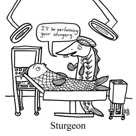 In this pun on surgeon and the fish sturgeon, we see a fish patient in the operating room. The doctor, who is a sturgeon, says to the fish patient, "I will be performing your sturgery." 
