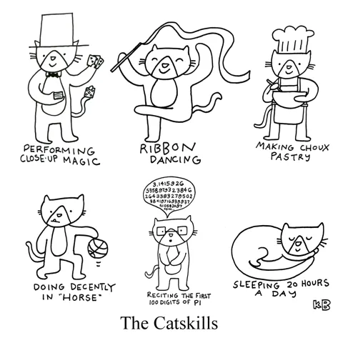 In this pun on New York country destination the Catskills, we see some cat skills (skills that a particular cat has): performing magic, ribbon dancing, baking, basketball, reciting the first 100 digits of pi, sleeping 20 hours a day. 