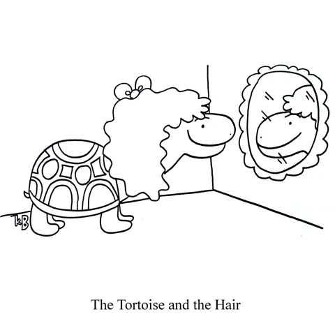 In this pun on the fable of the Tortoise and the Hare, we see a tortoise checking out her hair in the mirror. 