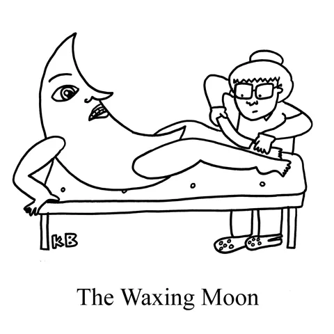 A crescent moon nervously clenches its teeth while bracing the bench as it gets its legs waxed by an esthetician in crocs. 